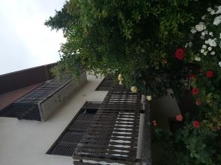 kuće   Indjija  Indjija