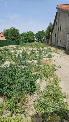 placevi   Indjija  Indjija okolina    